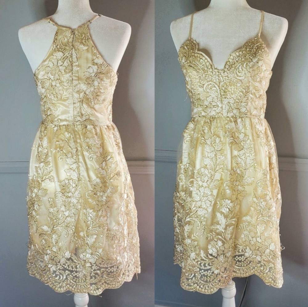 Altar'd State | Coquette Fairy Lace Embroidered Lace V-Neck Dress